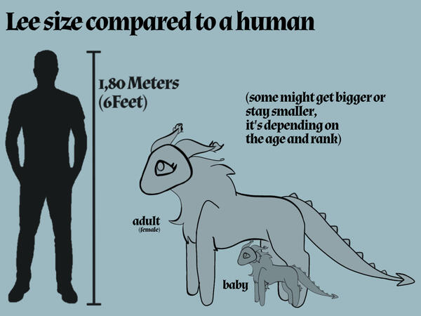 Size